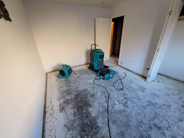 24/7 water damage repair in IN