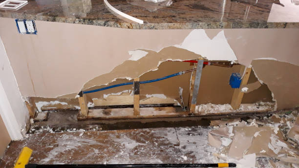 Best Water damage contractors near me  in Paoli, IN