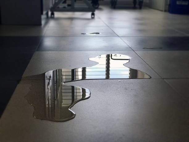 Best Water damage restoration specialists  in Paoli, IN