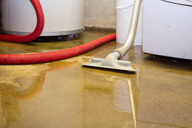 Best Commercial water damage restoration  in Paoli, IN