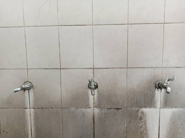 Best Commercial water damage restoration  in Paoli, IN