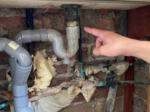 Best Water damage restoration near me  in Paoli, IN